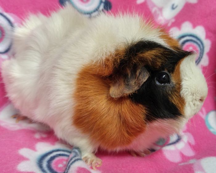 Betty
